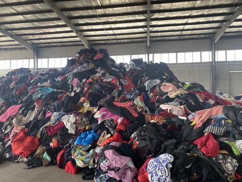走近旧衣服分拣厂 占地面积10000平方 日分拣20吨